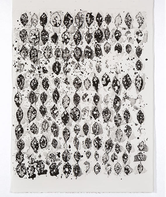 PAGE, Gregory