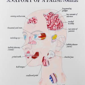 Anatomy of a False Smile, 2020, 13 colour screenprint on paper, 76 x 56cm, edition of 20.