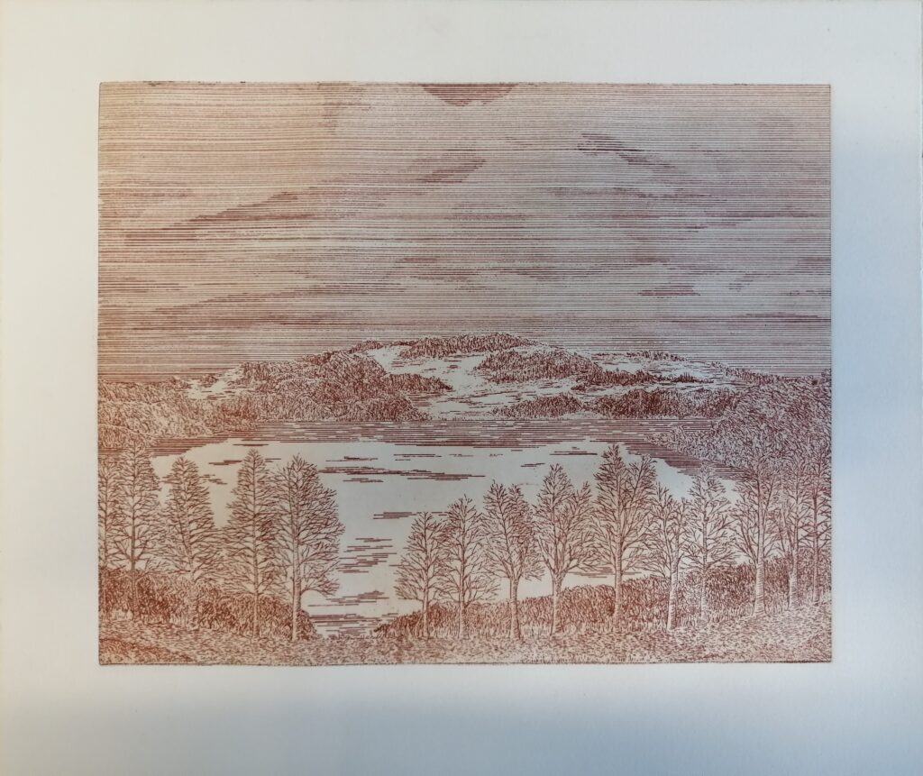 Eimhin Farrell, A View Over the Peaceful Lough