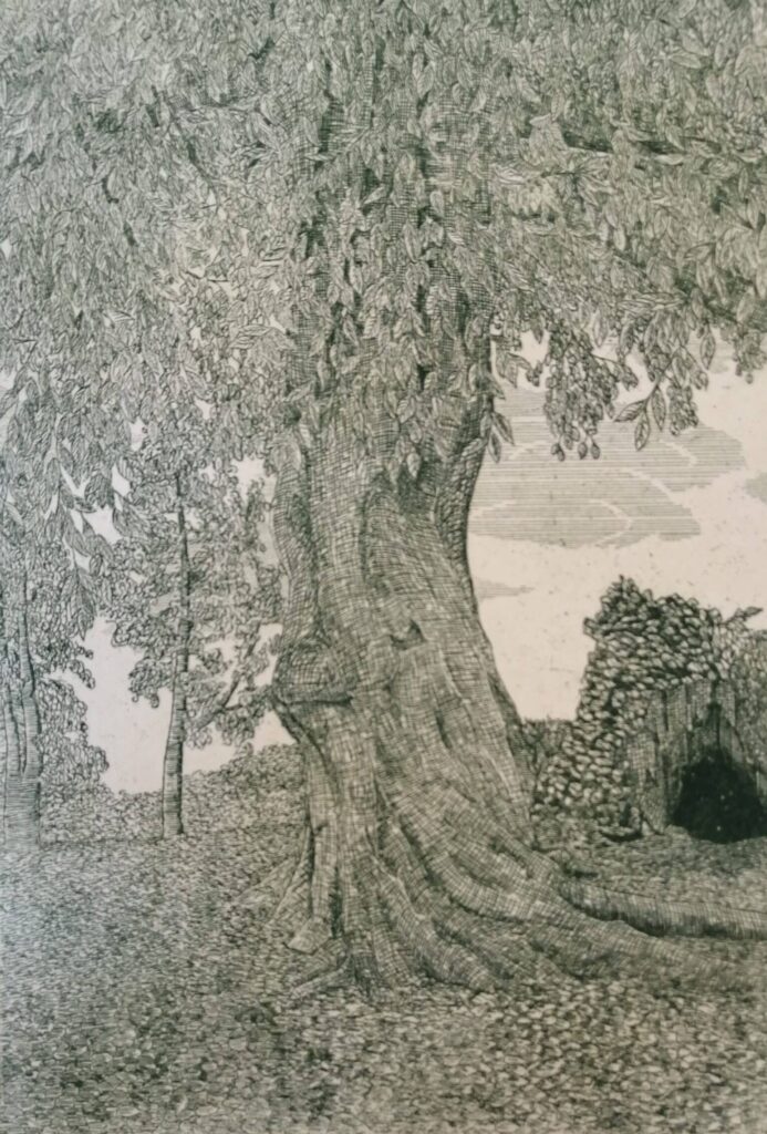 Eimhin Farrell, White Island Spirit, Etching, 38 x 26.5cm, €300