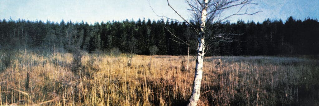 Alan Crowley, Excuse to Stand Still, Screenprint, 30 x 90cm, €300