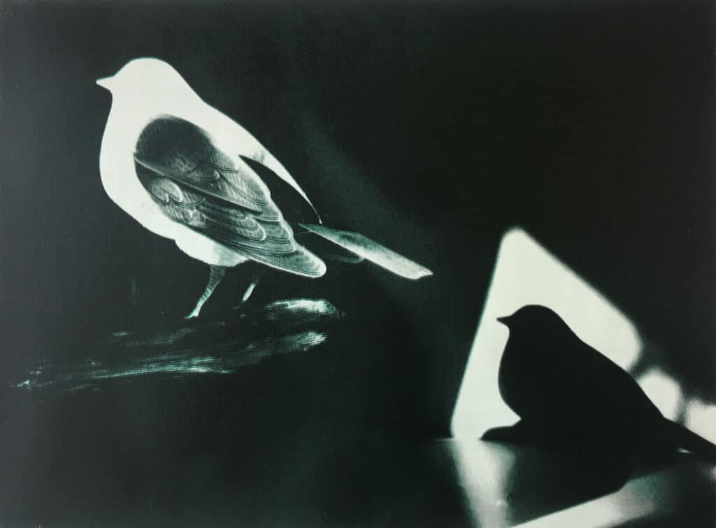 Jane Garland, Call and Response, Screenprint, 43.5 x 52cm, €270