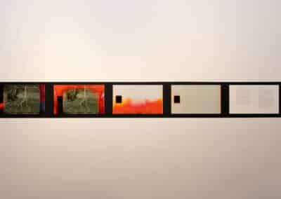 Installation view of four stills from a Super-8 film of an orchard displayed alongside a page of text. They are hung on a section of a white wall which has been painted black.