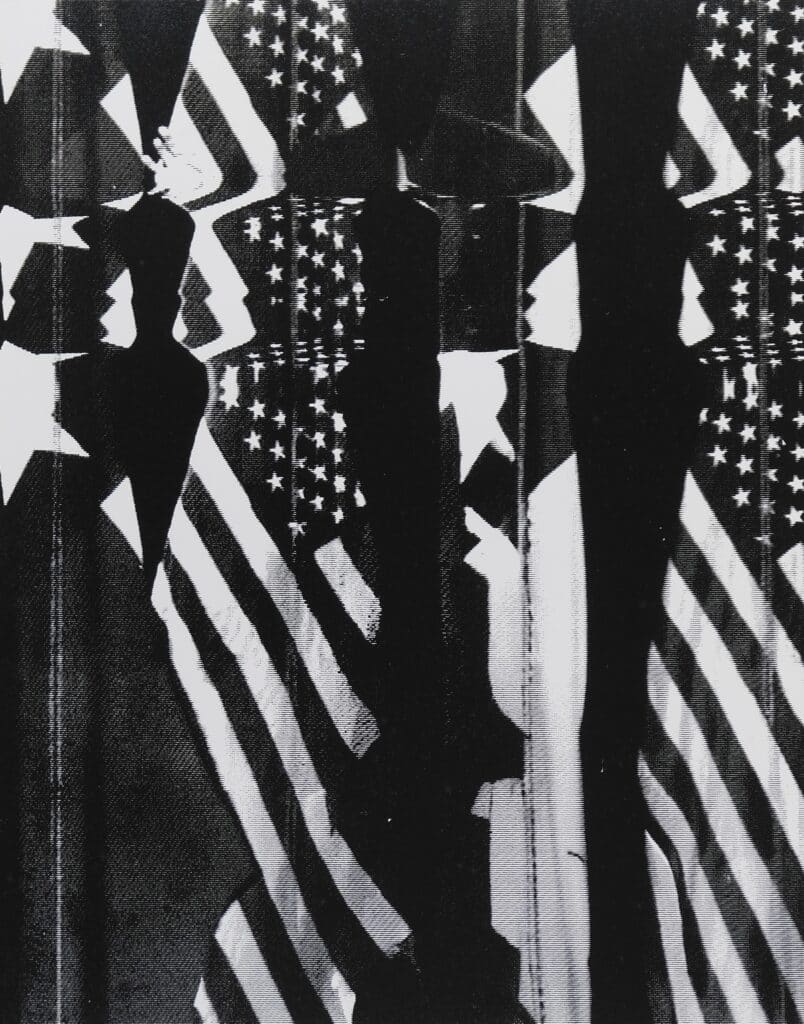 Neil Dunne, Failing Flags, Screenprint on panel, 31 x 24cm