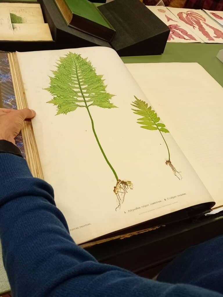 Art/Science collaboration with Trinity College Dublin - 10