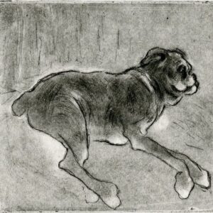 Caoimhe Dalton, Juno, Etching and spitbite on paper, 14 x 11cm