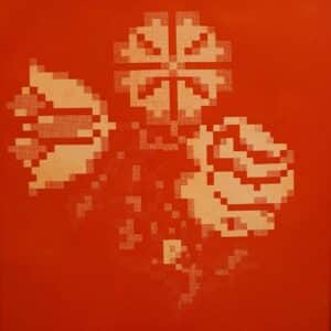 Alexandra Cobzaru, Blossom flowers II, Photo etching on paper, 25 x 25cm