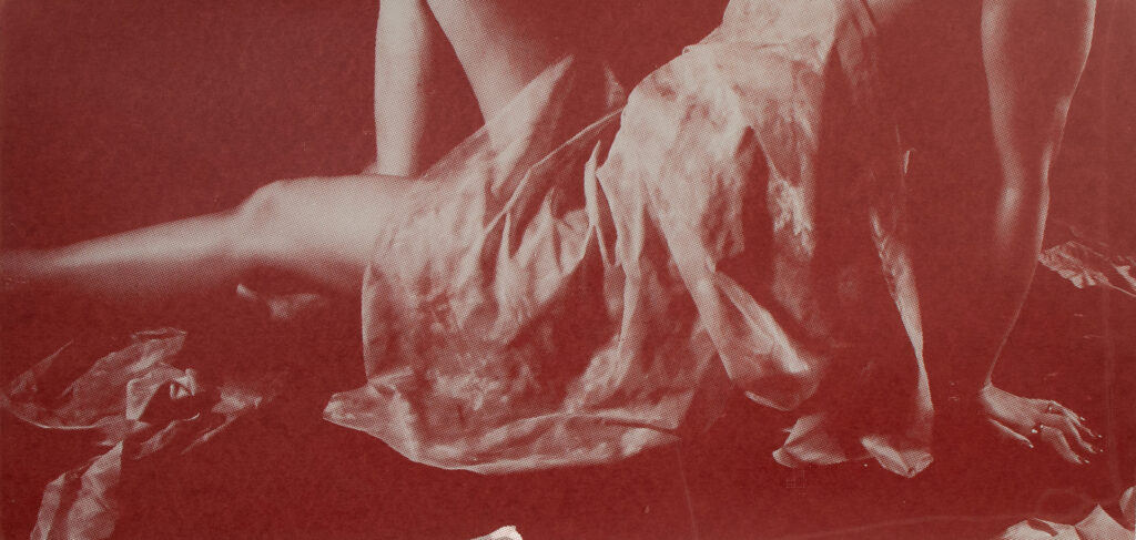 Romana Ashraf, The Body Unframed IV, Screenprint, 42 x 59.4cm