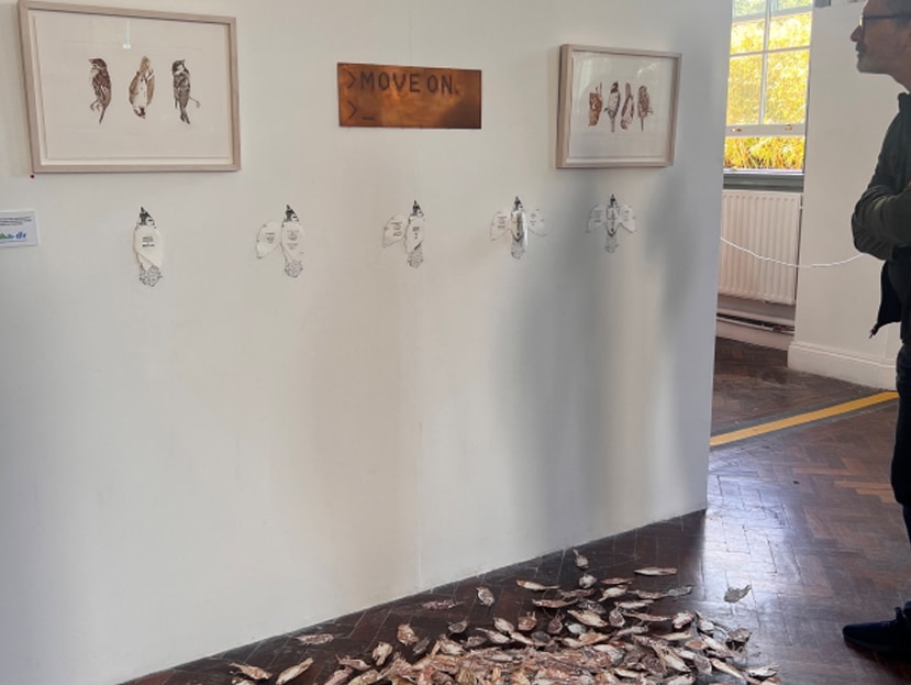 View of Sophie Hannah Hayes installation at IADT degree show.