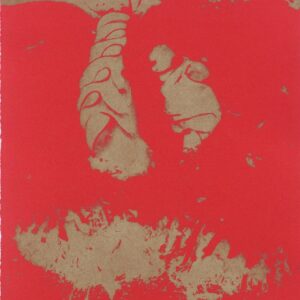 Derval Tubridy - Kelp I
