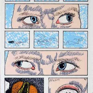 Emily Mc Gardle - Is beag le rá an chuileog nó go dtéannn sí sa tsúil (A fly is a small thing until it goes into your eye)