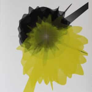 Fiona Mc Donald - Midsummer Leam West [CO2] - [Le] flux