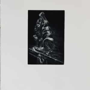 Maura Osborne - Disappearing Dublin