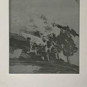 Aoife Dwyer, Wind in Trees